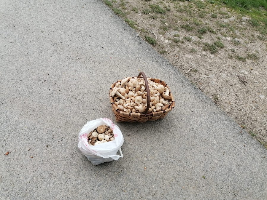 Katategi txiki