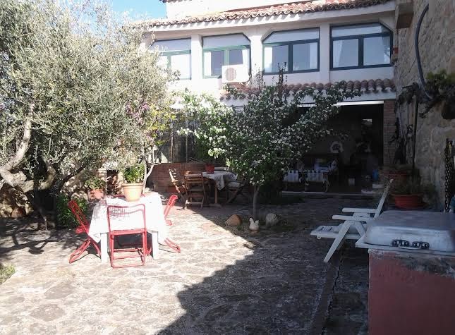 El Olivo de Sansol
