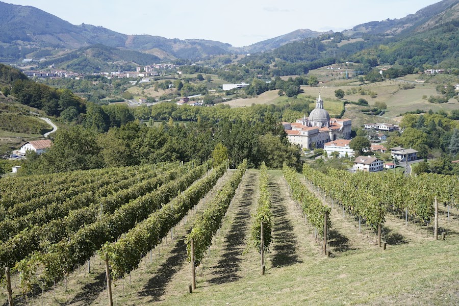 Finca Narzabal