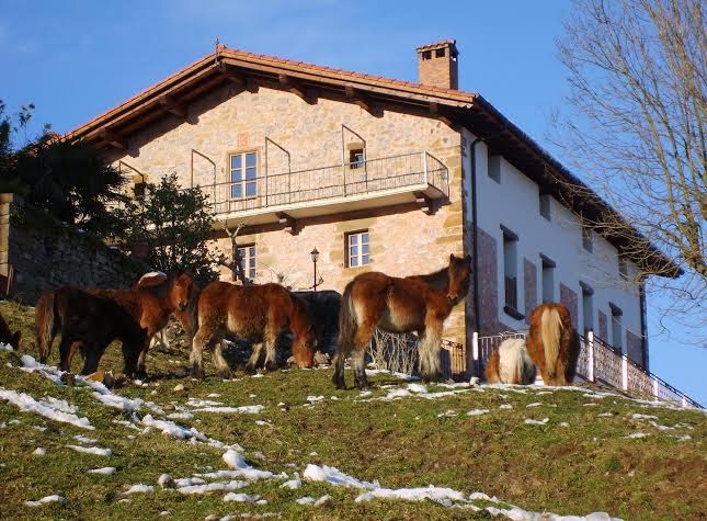 Kuko Hotel - Adults Only